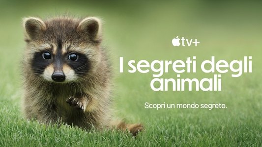 The Secret Lives of Animals