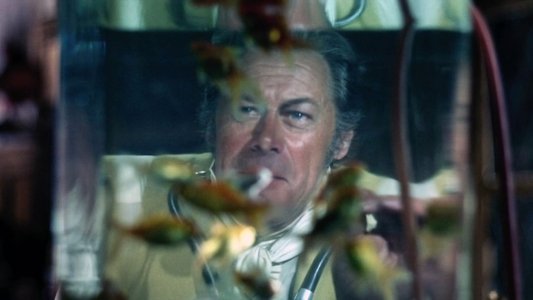 Doctor Dolittle