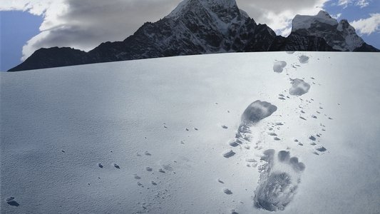 Hunt for the Abominable Snowman