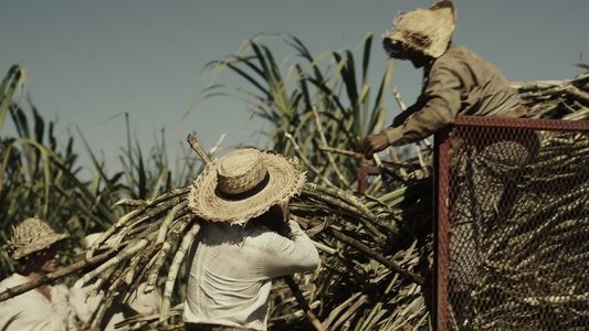 Érase una vez en el Caribe