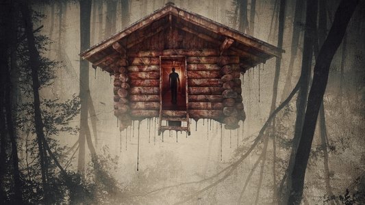The Cabin