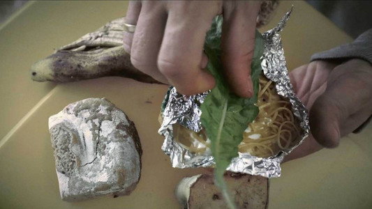 Survival