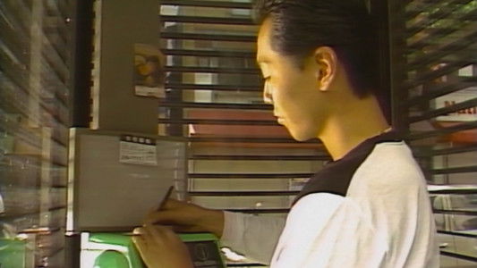 赤い報告書２　密室の淫戯－ホテトル嬢殺人事件－