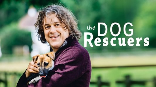 The Dog Rescuers with Alan Davies