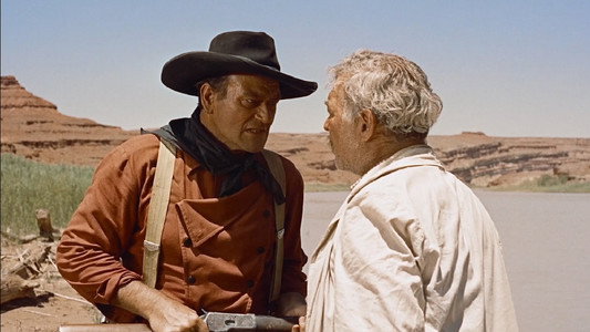 The Searchers