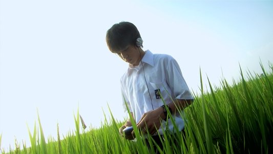 リリイ・シュシュのすべて