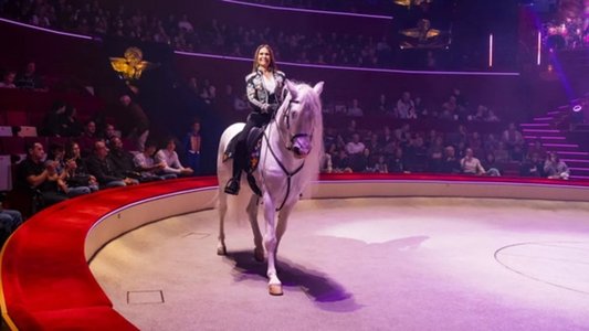 Délire au Cirque d'hiver Bouglione de Paris