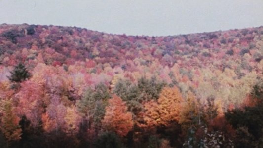 Horizons