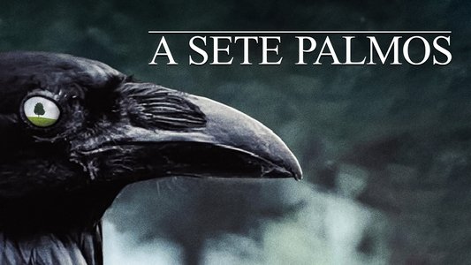 Six Feet Under