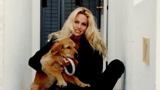 Pamela, A Love Story