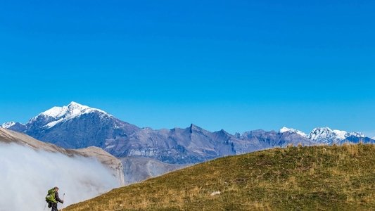 Vivre avec les loups