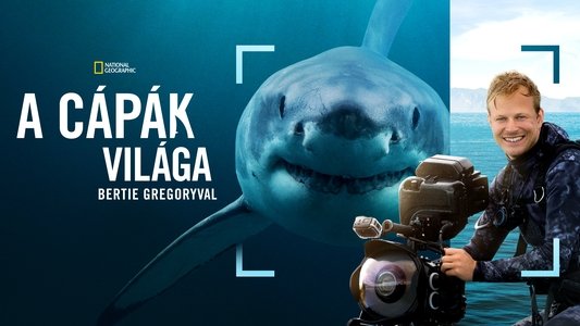 Sharks Up Close with Bertie Gregory