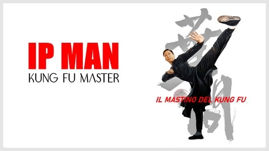 Ip Man Kung Fu Master