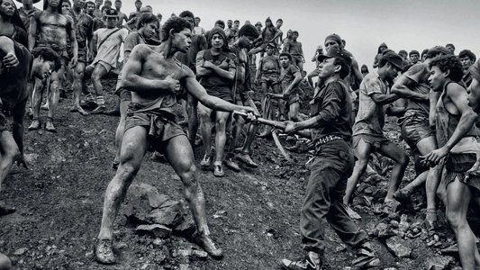 Le sel de la terre