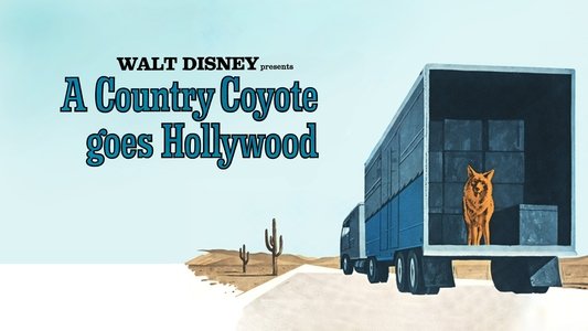 A Country Coyote Goes Hollywood