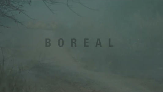 Boreal