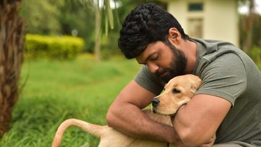 777 ಚಾರ್ಲಿ