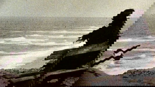 Nosferatu, eine Symphonie des Grauens