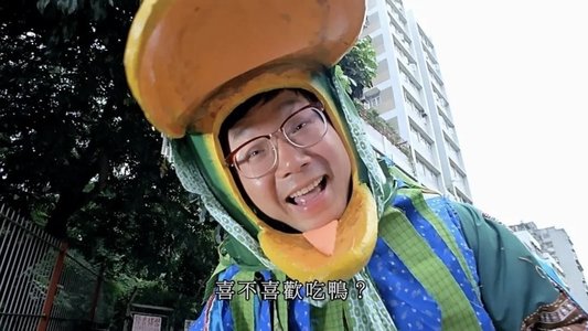 雞同鴨講