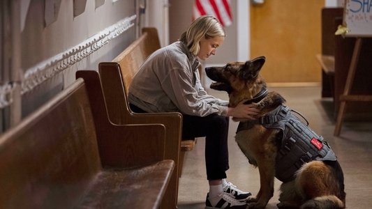 Jazz Ramsey: A K-9 Mystery