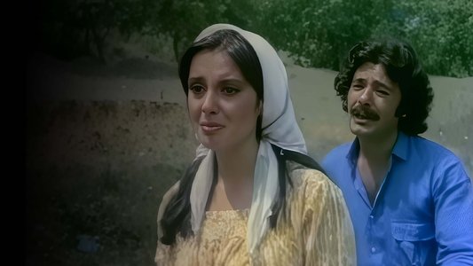 Yuvasız Kuşlar