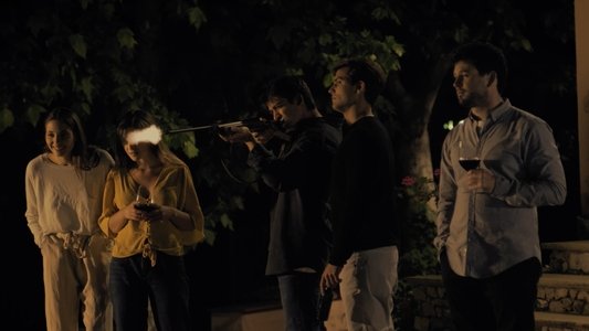 Los pájaros no vuelan de noche