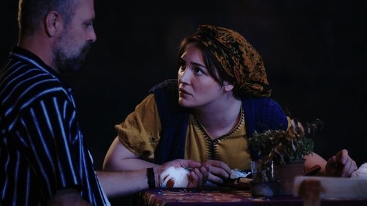 Evcilik