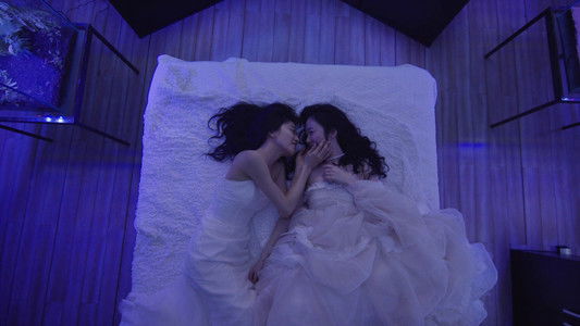 リップヴァンウィンクルの花嫁