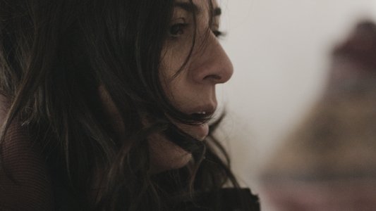 Ana Yurdu