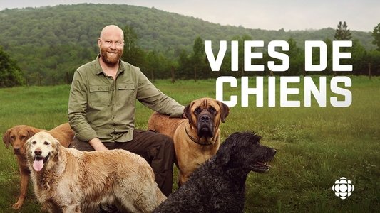 Vies de chiens