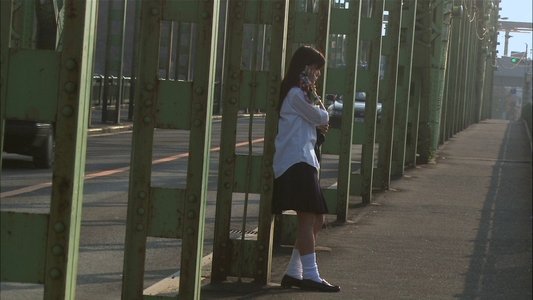 リリイ・シュシュのすべて