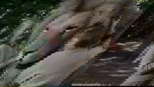 The Chronicles of Narnia: The Lion, the Witch & the Wardrobe