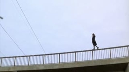 Beck 03 - Vita nätter