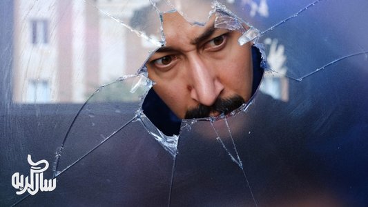 سال گربه