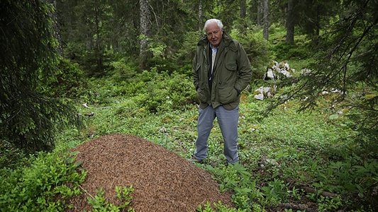 Attenborough and the Empire of the Ants