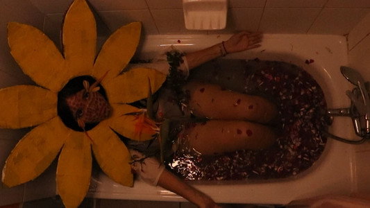 te de girasol