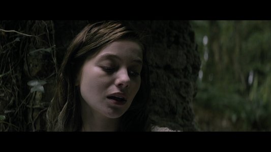 The Lodgers