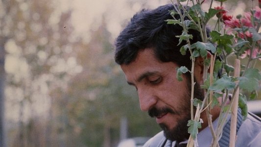 کلوزآپ ، نمای نزدیک