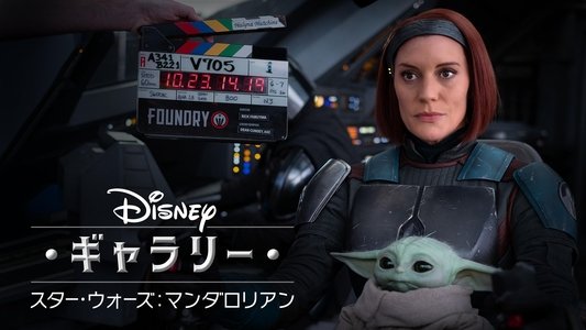 Disney Gallery / Star Wars: The Mandalorian