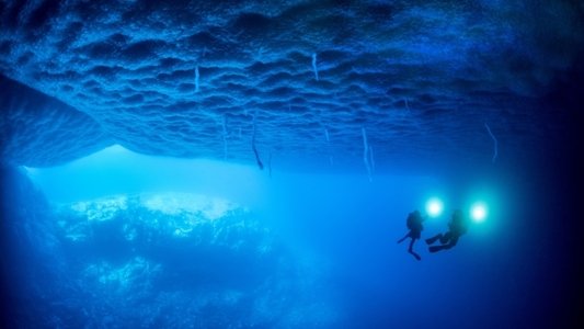 Antarctica, sur les traces de l'empereur