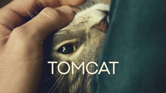 Kater
