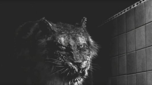 Tyger
