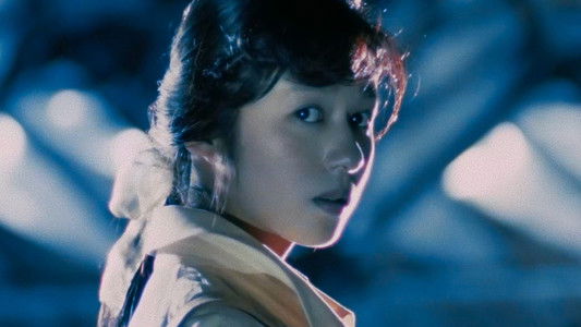 Door II: Tokyo Diary