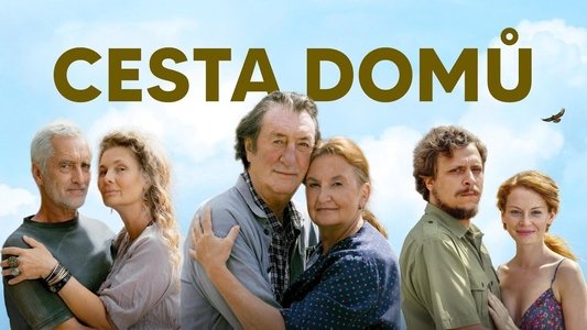 Cesta domů