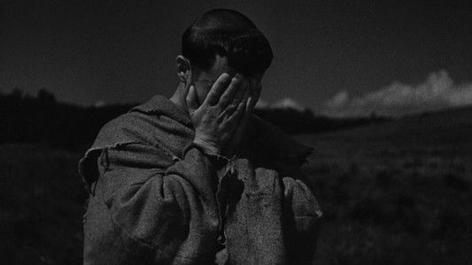 Francesco, giullare di Dio