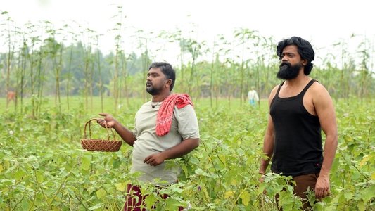 கூர்மன்