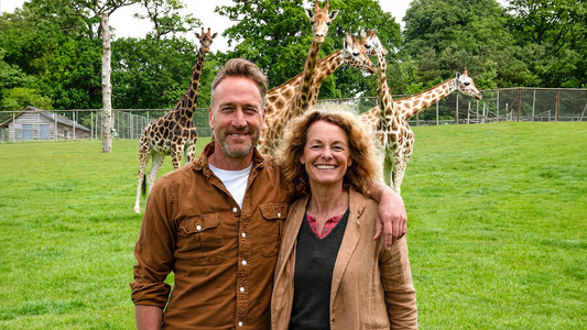 Animal Park
