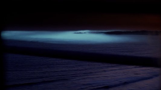 The Fog