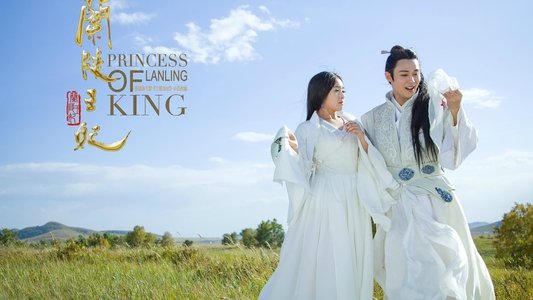 兰陵王妃