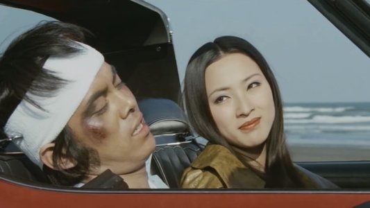 夜の演歌　しのび恋